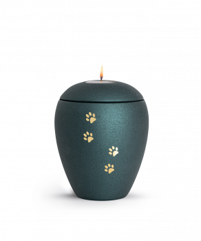 Pet Urn Verona Colour Petrol with 4 Brushed Pawsight Lid