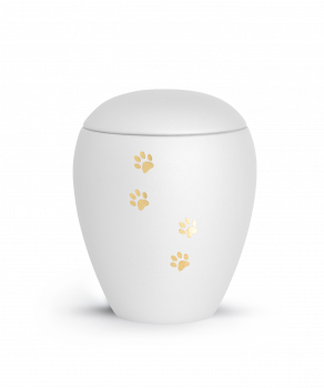 Pet Urn Verona Colour White with 4 Brushed Pawson Verorna cheap