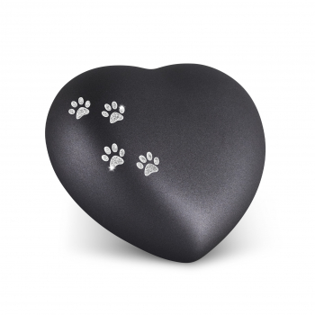 Pet Urn Edition Star 4 Paws Colour: Black various sizes