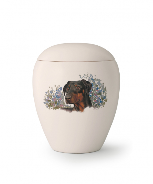 Pet urns Edition Sky   Race: Dobermann