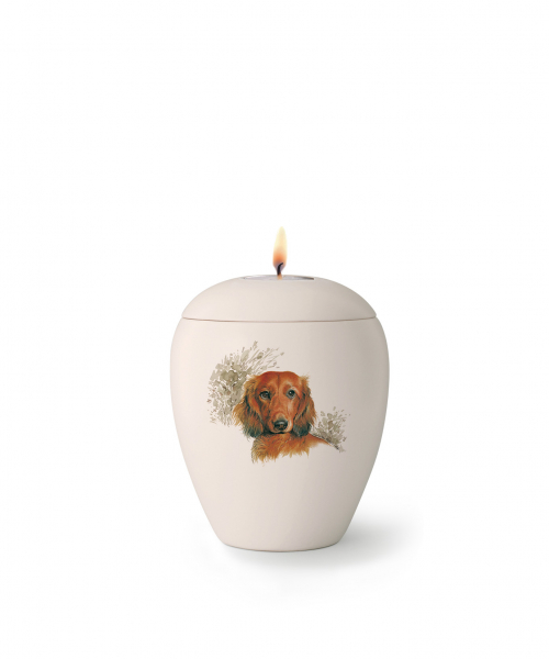 Animal Urn Shorthaired Dachshund Hand Painted with Tealight Insert