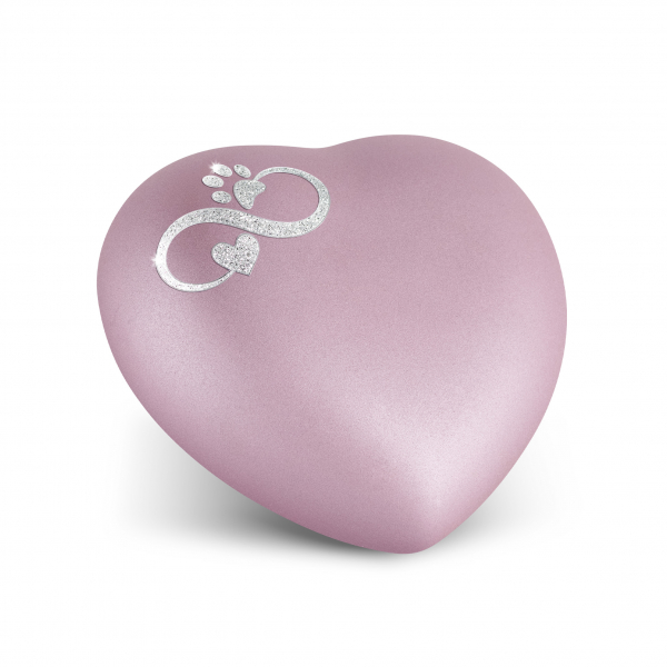 Buy Pet Urn Colour: Rosé Motif Infinity Paw Heart cheap